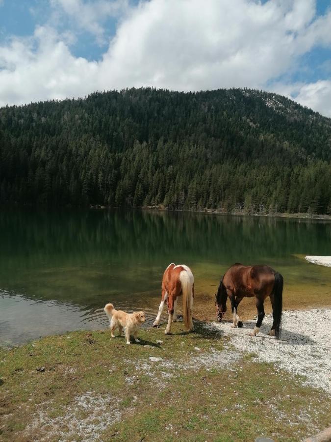 Zabljak_Vikendica Kültér fotó
