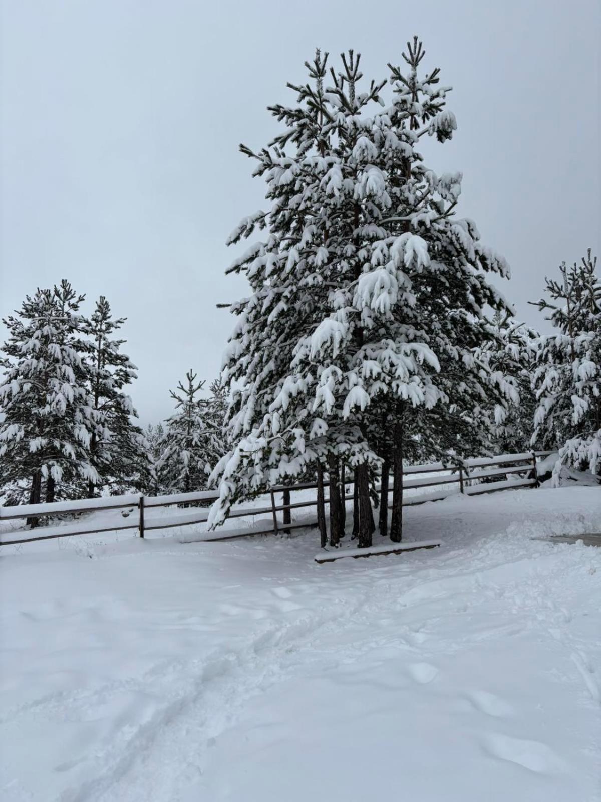 Zabljak_Vikendica Kültér fotó